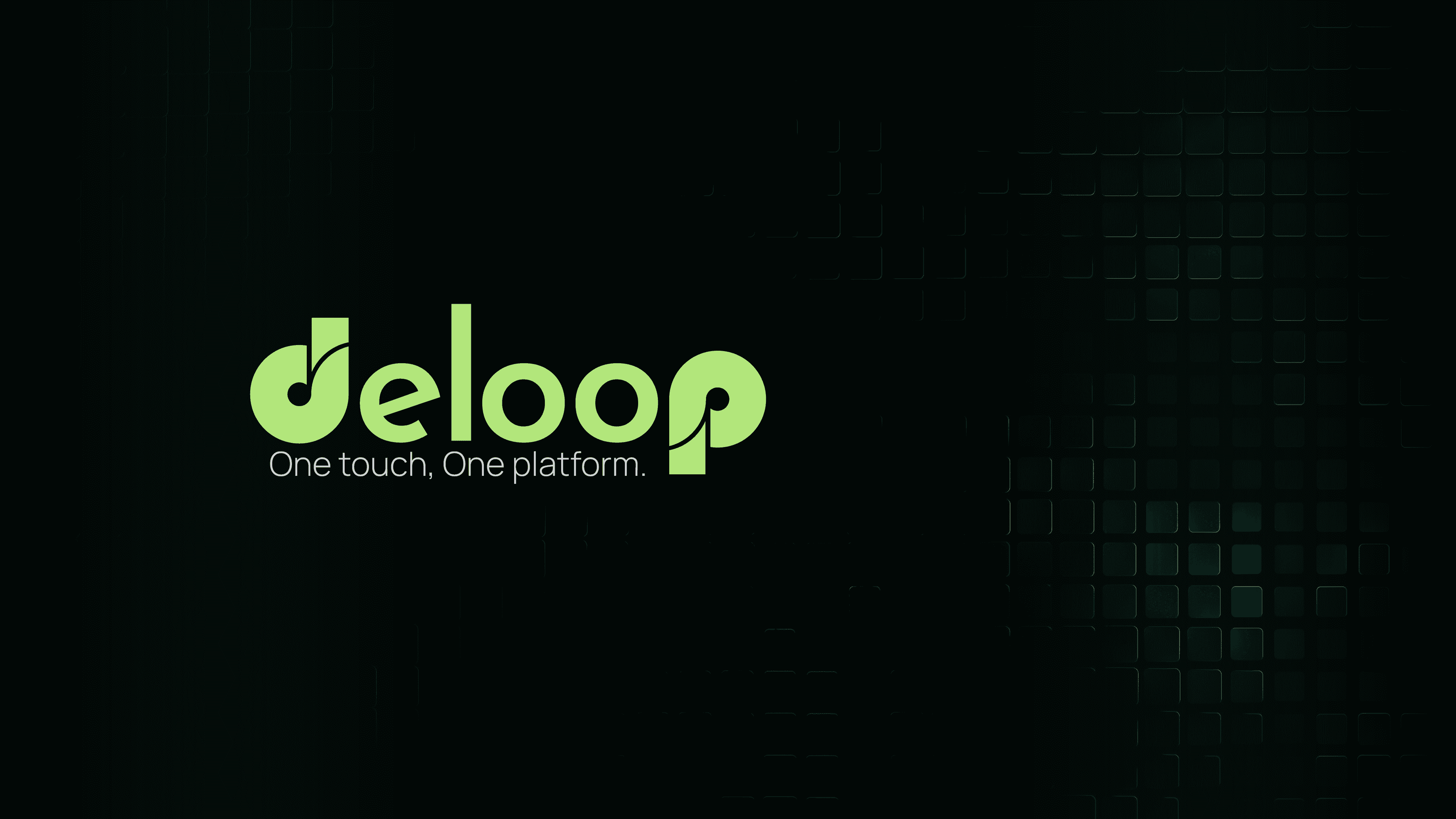 Deloop Brand Presentation